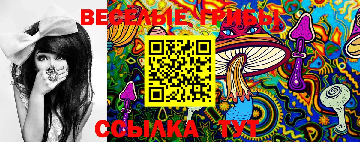 Галлюциногенные грибы GOLDEN TEACHER Назрань