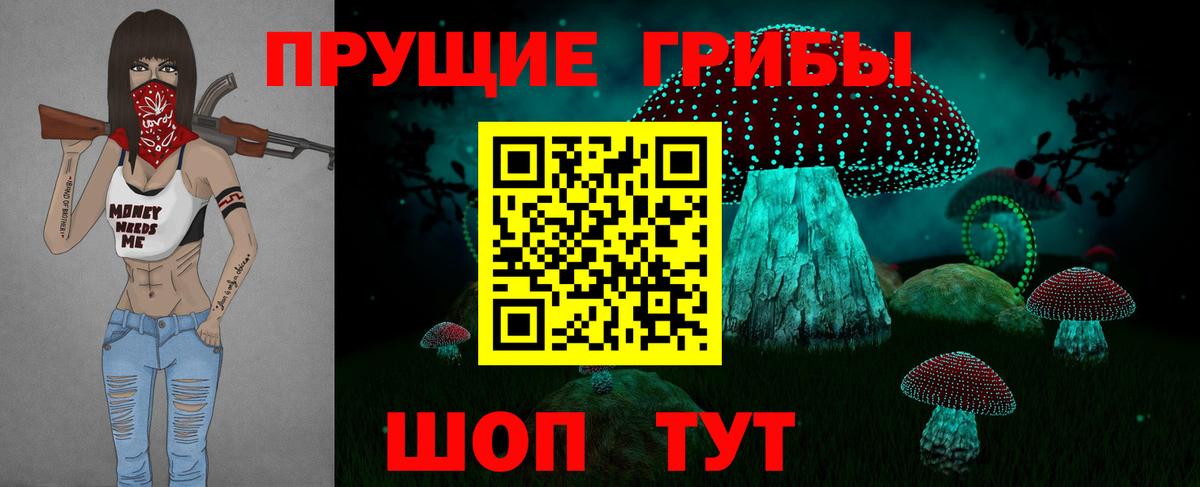 Назрань  Галлюциногенные грибы GOLDEN TEACHER  купить  цена  Вход с VPN  Галлюциногенные грибы Psilocybine cubensis 